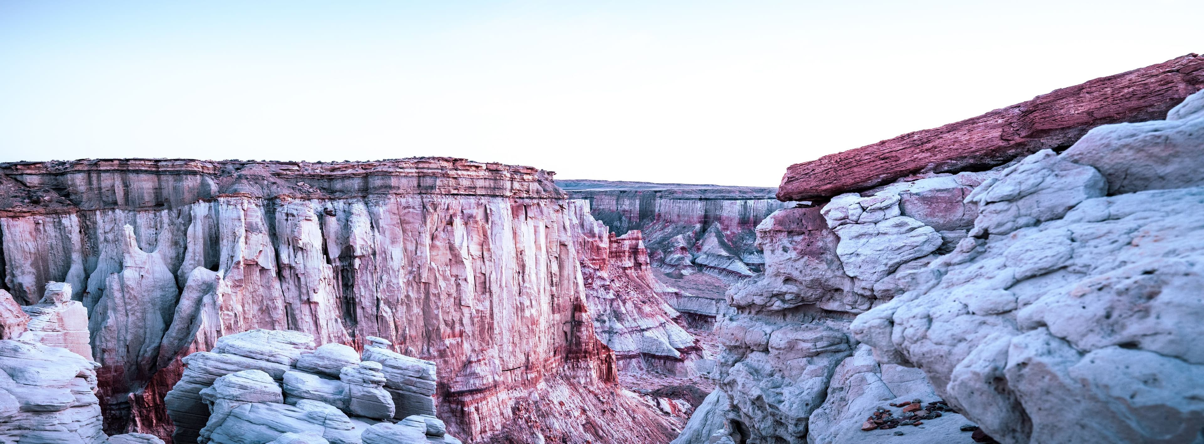 Weathered rock formations resembling ancient faces, standing guard over a desert gorge.